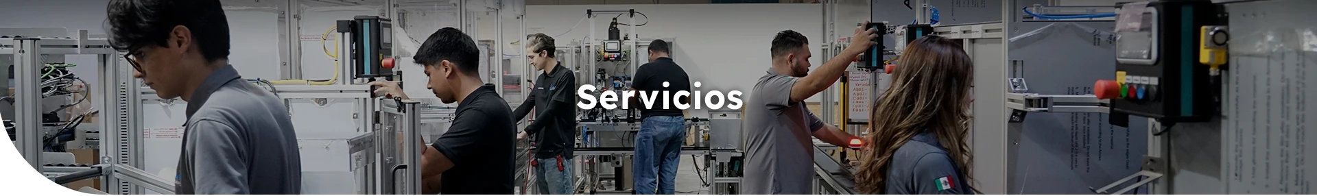 Servicios