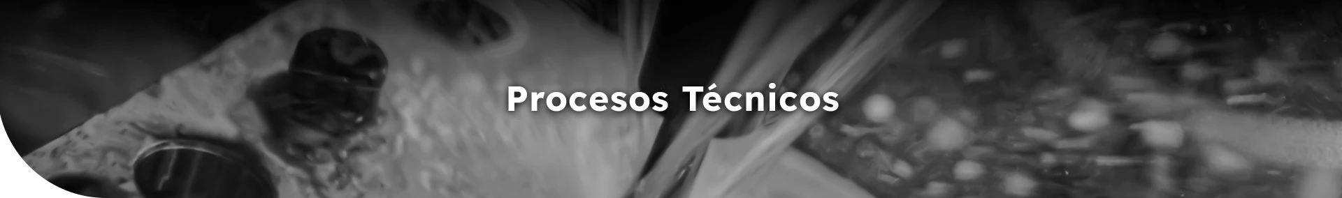 Procesos Técnicos