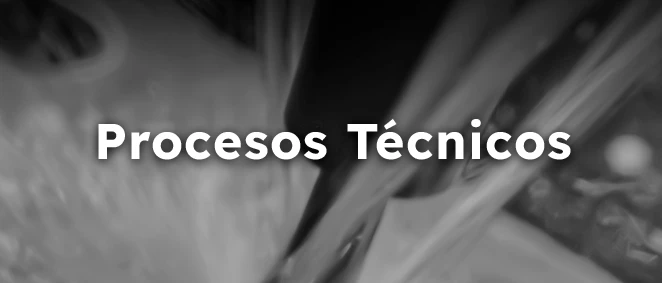 Procesos Técnicos